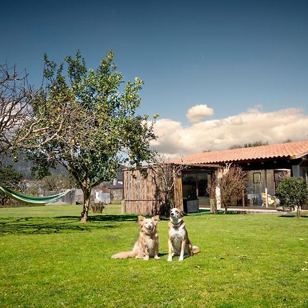 Casa Barros Villa Tui Buitenkant foto